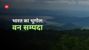 भारत का भूगोल: वन सम्पदा