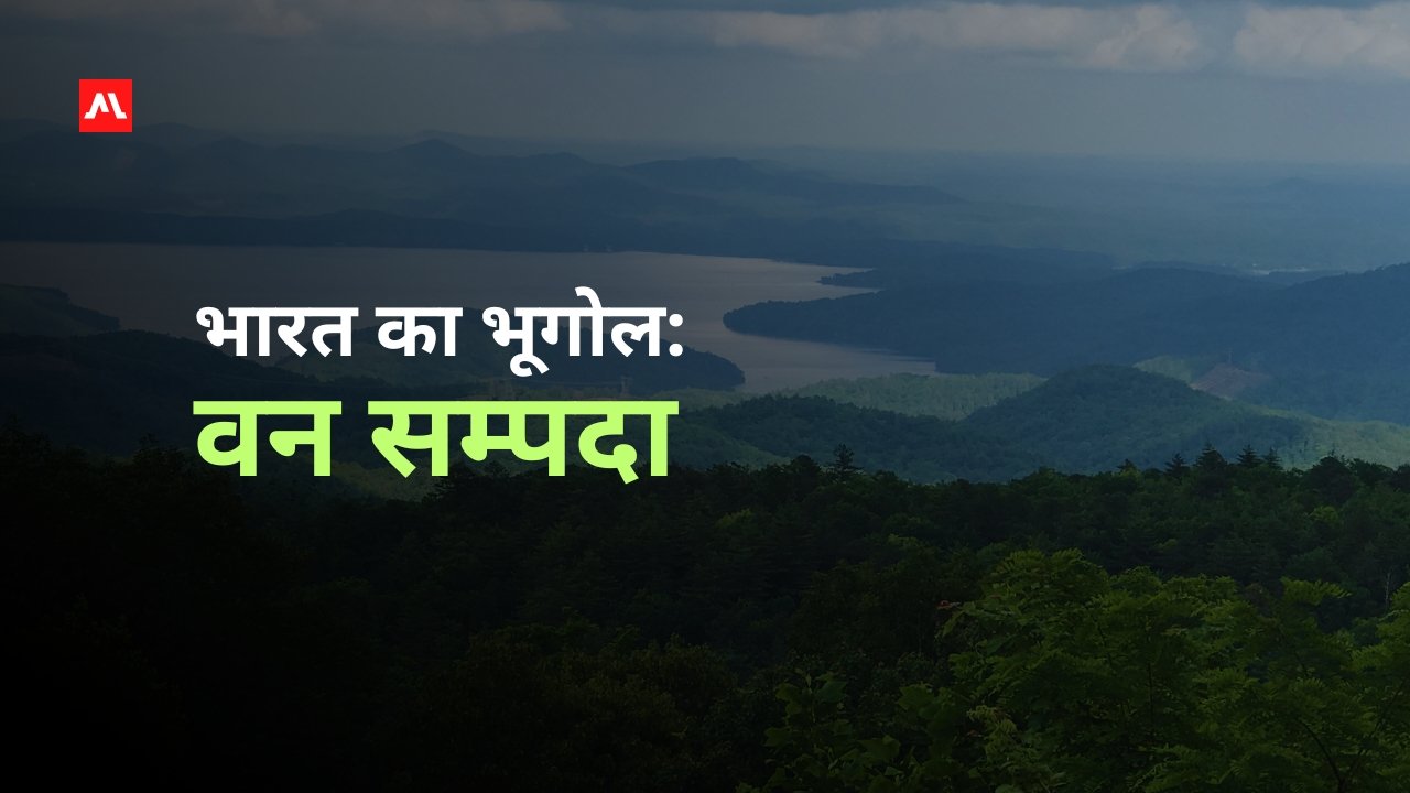भारत का भूगोल: वन सम्पदा