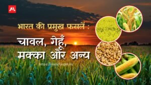 भारत की प्रमुख फसलें: चावल, गेहूँ, मक्का और अन्य